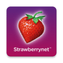 草莓网免费版 v2.0 草莓网免费版APP  